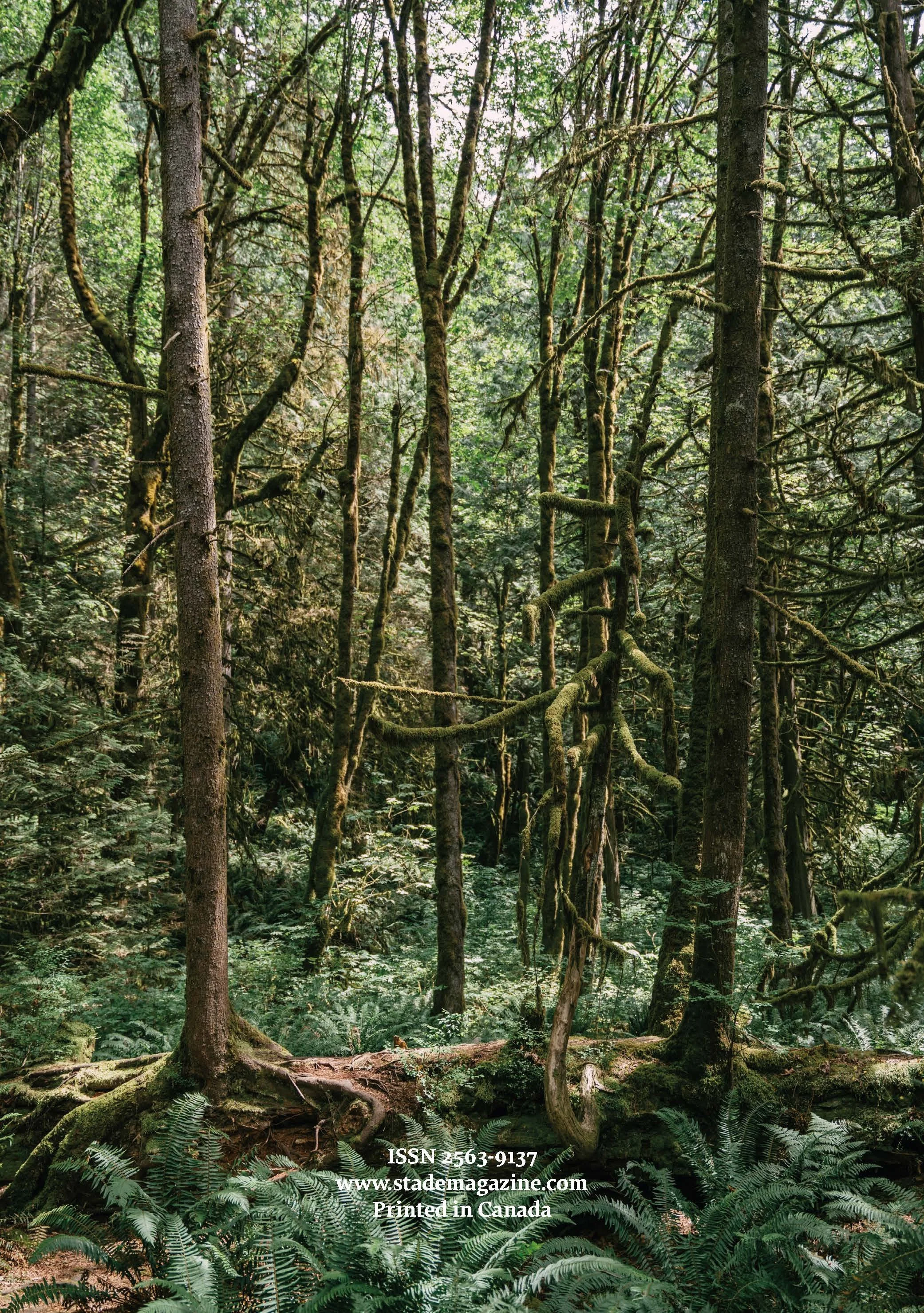 Stade Magazine Issue 5 – Pacific Northwest — STADE Magazine